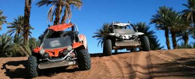 Quad/Buggy y camello en el desierto de Agafay o la palmera de Marrakech