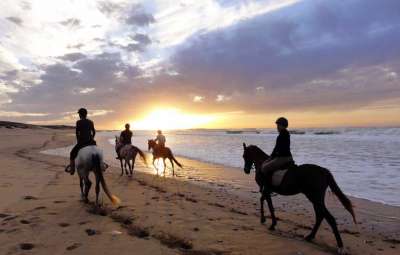 Excursión a caballo al sur de Essaouira